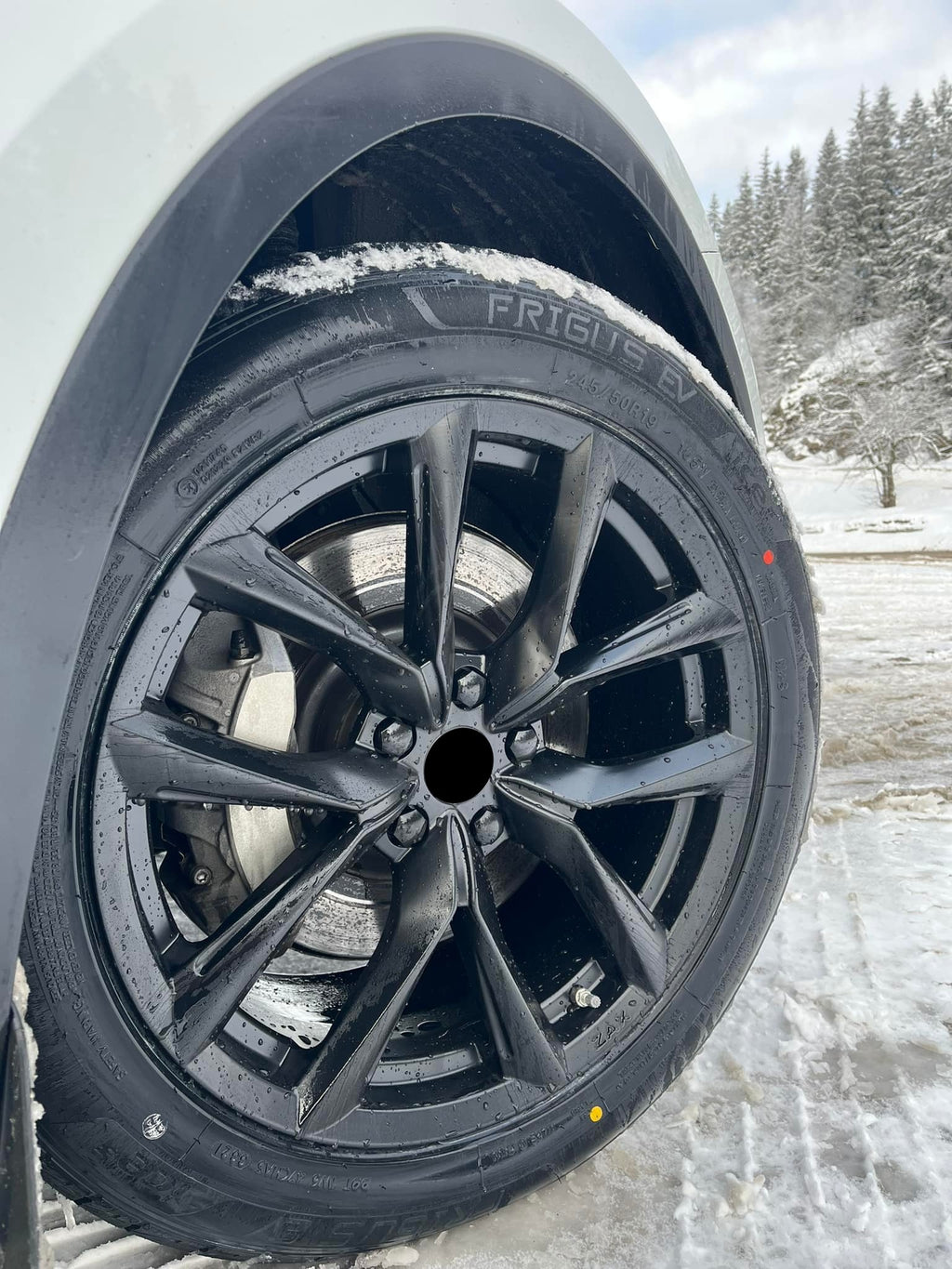 Jante Tesla Model 3 R20 5x114.3 BLHM 168 Style | 8.5/9.5J ET35