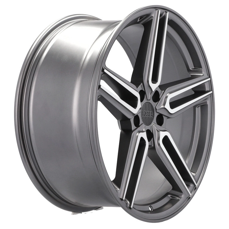 Jante Haxer R20 5x112 HX015 HF-1 Style | Mercedes S CLS W221 W222 C219