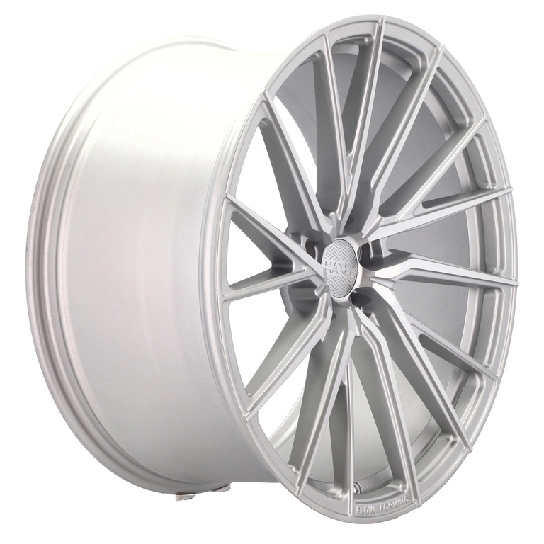 Jante Haxer R21 5x112 Silver HX06F | BMW X5 X6 X7, Mercedes GLE GLS